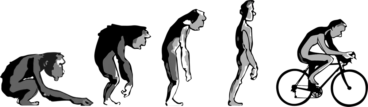Evolution of the Cyclist: bicycle t-shirt design
