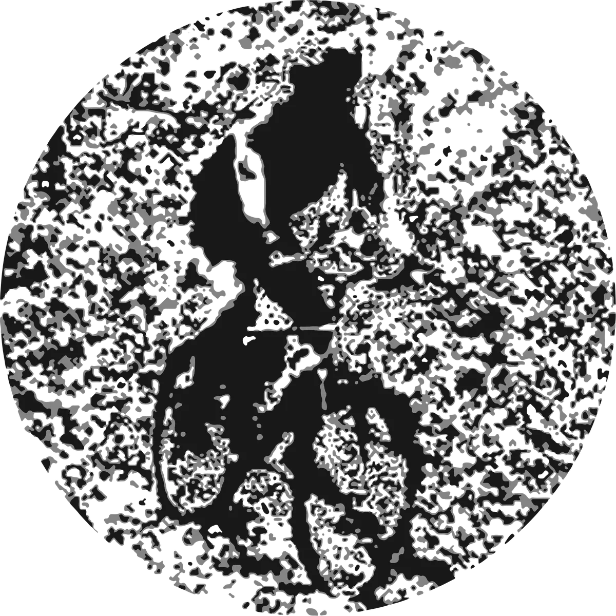 Rough Riding: bicycle t-shirt design