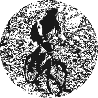 Rough Riding: bicycle t-shirt design